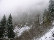 11.27.05 Nesmith Point 050 